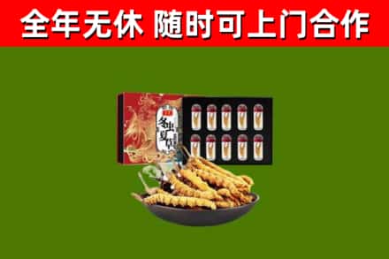 西宁市回收冬虫夏草价格